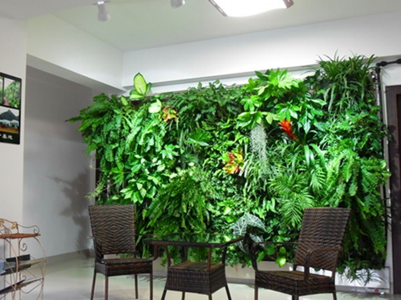 室内办公室植物墙的好处与制作步骤介绍