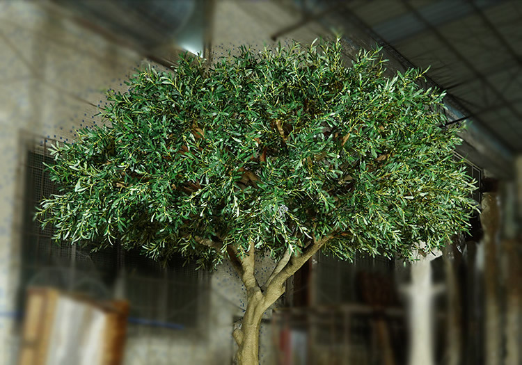 仿真橄榄树用“玻璃钢”制作已是主流？